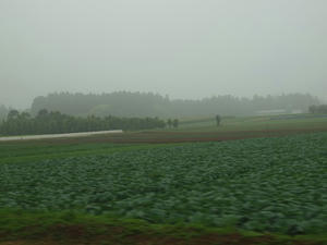 P6148221shuusei.JPG