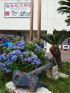 P6148225shuusei.JPG