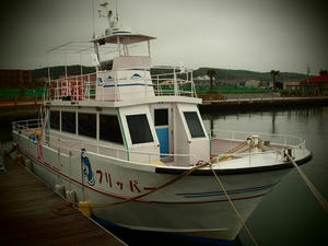 P6148265shuusei.JPG