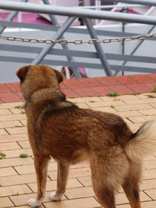P6148270shuusei.JPG