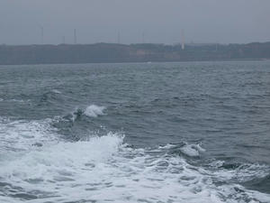P6148271shuusei.JPG