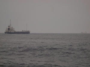 P6148424shuusei.JPG