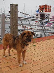 P6148448shuusei.JPG