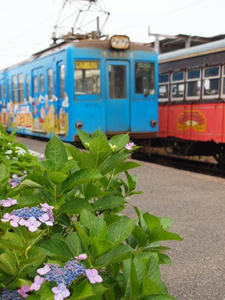 P6148457shuusei.JPG