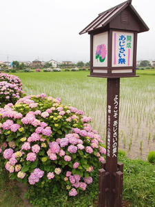 P6097331shuusei.JPG