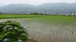 P6097339shuusei.JPG