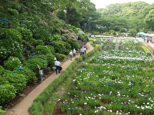 P6097406shuusei.JPG