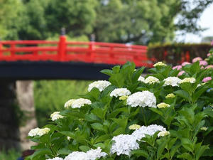 P6097423shuusei.JPG