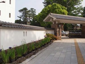 P6097475shuusei.JPG