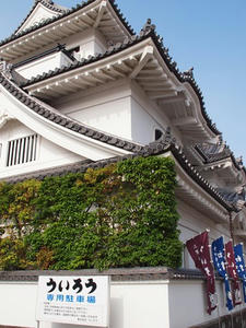 P6097476shuusei.JPG