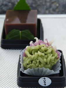 P6097486shuusei.JPG