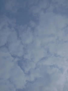 P6097488shuusei.JPG