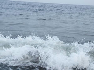 P6097569shuusei.JPG