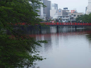 P6097576shuusei.JPG