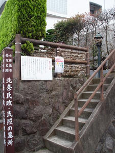 P6097584shuusei.JPG