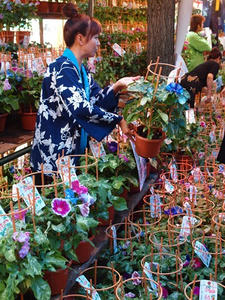 P7071204shuusei.JPG