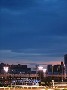 P7081490shuusei.JPG