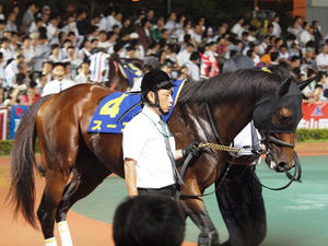 P7081670shuusei.JPG