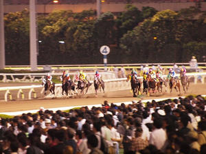 P7081772shuusei.JPG
