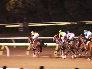 P7081792shuusei.JPG