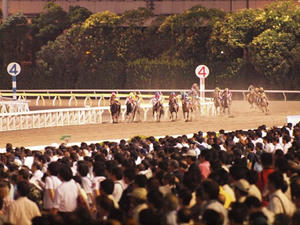 P7081818shuusei.JPG