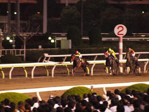 P7081826shuusei.JPG