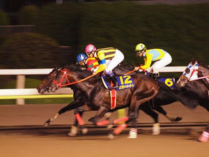 P7081785shuusei.JPG