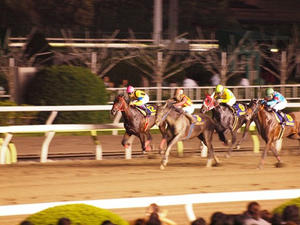 P7081831shuusei.JPG