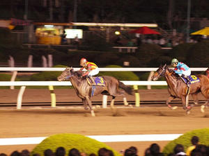 P7081835shuusei.JPG