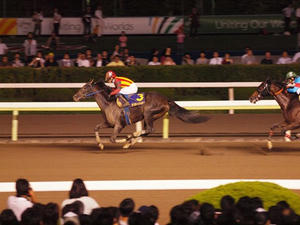 P7081840shuusei.JPG