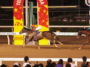 P7081842shuusei.JPG