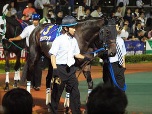 P7081557shuusei.JPG