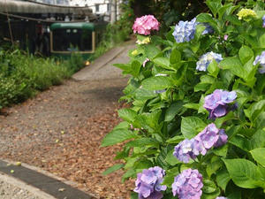 P6107654shuusei.JPG