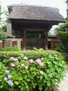P6107647shuusei.JPG