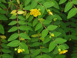 P6107650shuusei.JPG
