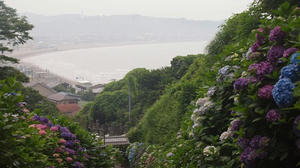 P6107637shuusei.JPG