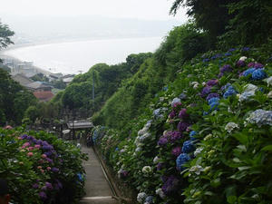 P6107596shuusei.JPG