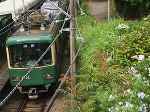 P6107658shuusei.JPG