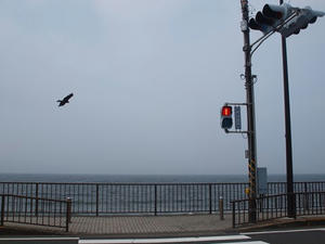 P6107672shuusei.JPG