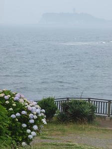 P6107691shuusei.JPG