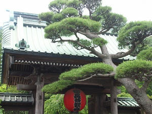 P6107740shuusei.JPG