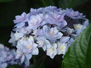 P6107843shuusei.JPG