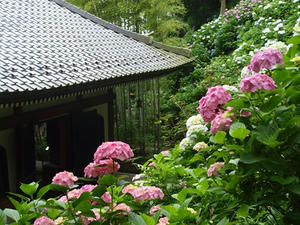 P6107782shuusei.JPG