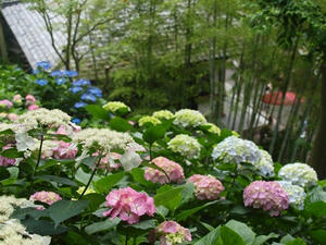 P6107873shuusei.JPG