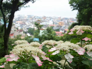 P6107832shuusei.JPG