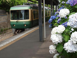 P6107982shuusei.JPG