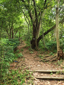 P6107999shuusei.JPG