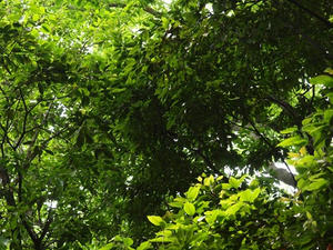 P6108006shuusei.JPG