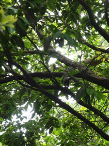 P6108020shuusei.JPG