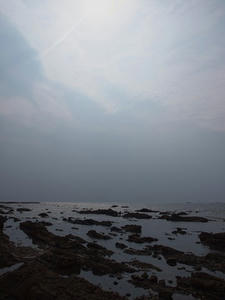 P6108083shuusei.JPG